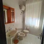 Spappy\'S Room